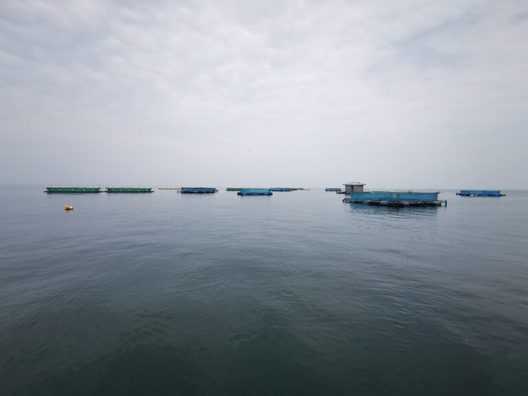 LEGISLATION: THE HIDDEN BARRIER TO AQUACULTURE GROWTH IN AFRICA