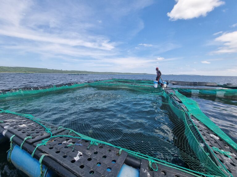 BIOSECURITY FIRST: PRACTICAL DISEASE-PREPAREDNESS MEASURES FOR AFRICAN AQUACULTURE