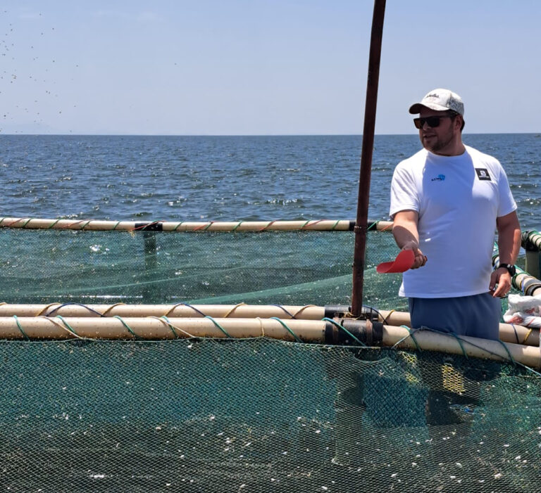 REINING IN FEED COSTS: PRACTICAL ALTERNATIVES AND FEED-MANAGEMENT TACTICS FOR AFRICAN FARMS