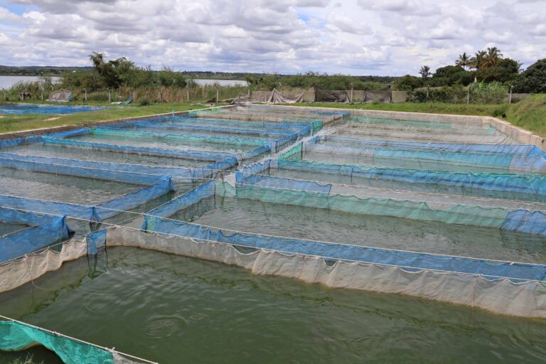 Site selection as a strategic decision in African aquaculture